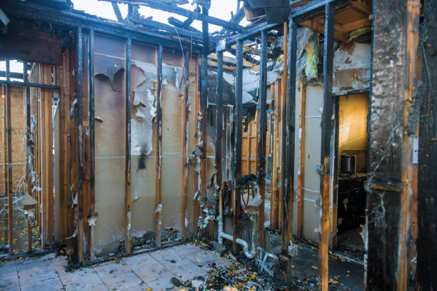 Professional Fire Damage Assessment technician working in Tool, TX